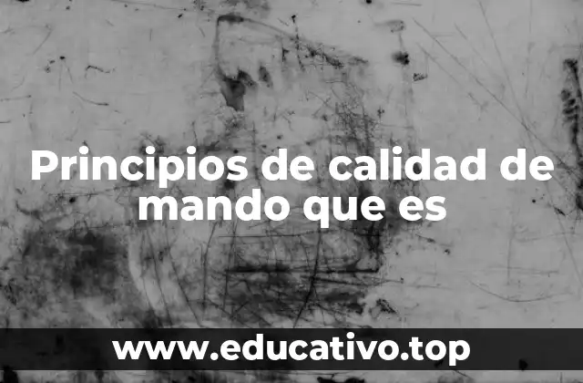 Principios de calidad de mando que es