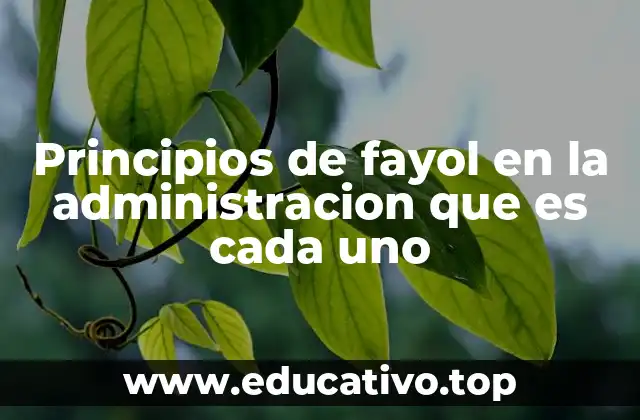 Principios de fayol en la administracion que es cada uno