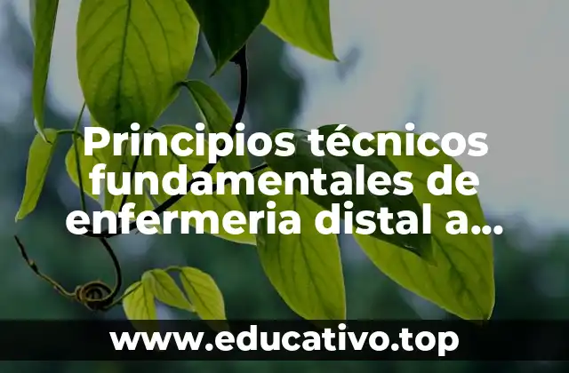 Principios técnicos fundamentales de enfermeria distal a proximal que es