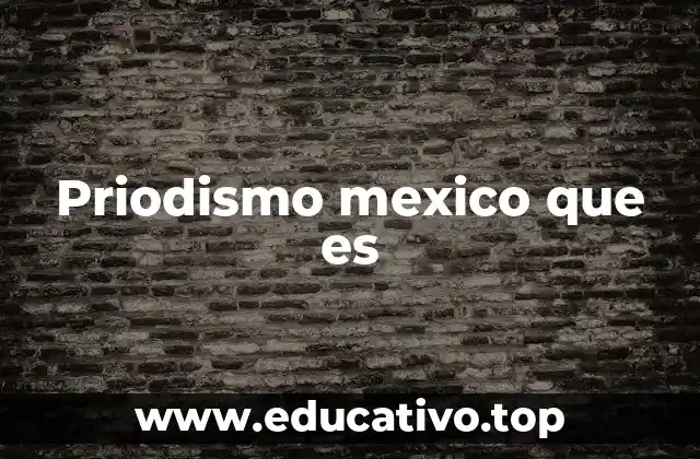 Priodismo mexico que es
