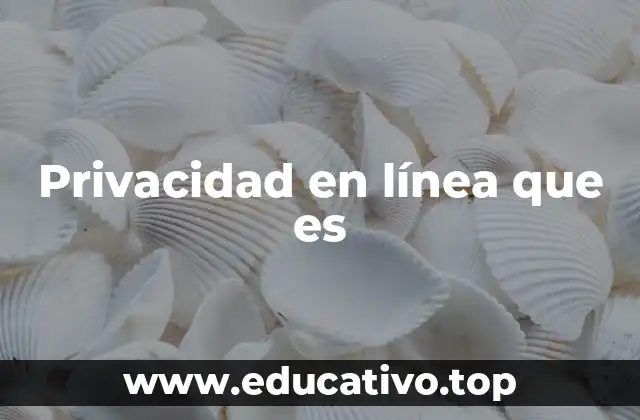 Privacidad en línea que es