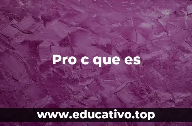 Pro c que es