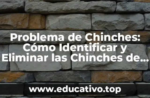 Problema de Chinches: Cómo Identificar y Eliminar las Chinches de su Hogar