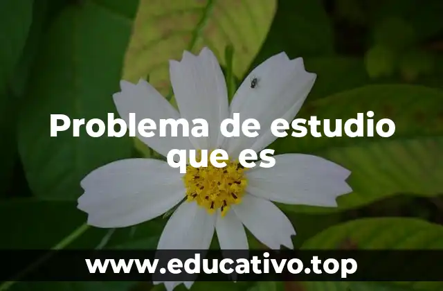 Problema de estudio que es