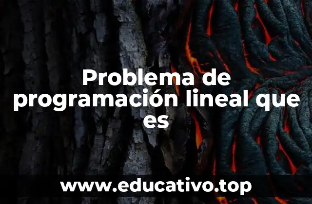 Cómo se formulan los modelos de optimización lineal