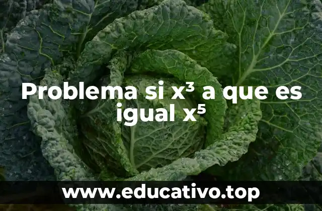 Problema si x³ a que es igual x⁵