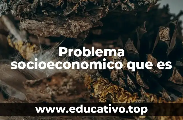 Problema socioeconomico que es