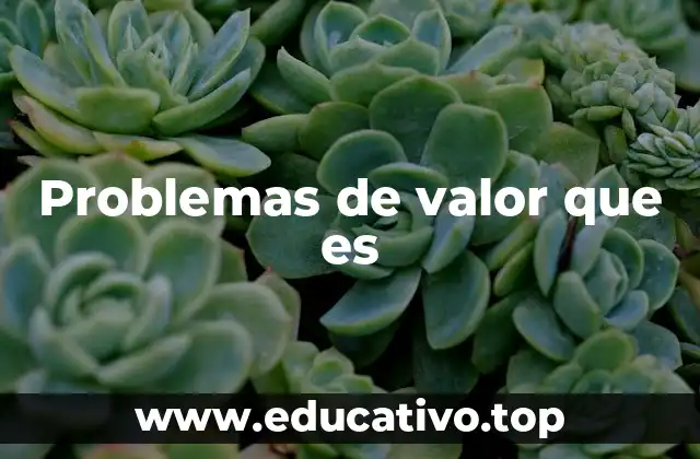 Problemas de valor que es