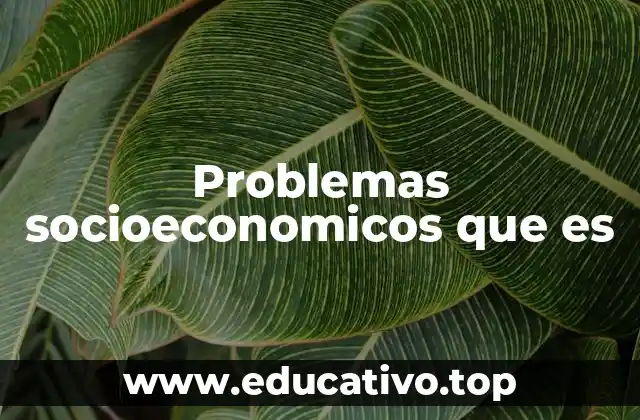 Problemas socioeconomicos que es