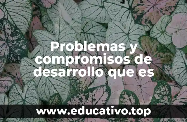 Problemas y compromisos de desarrollo que es
