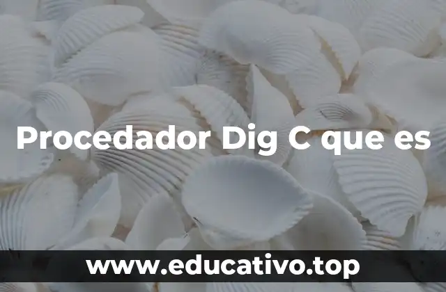 Procedador Dig C que es