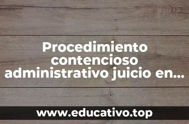 Procedimiento contencioso administrativo juicio en la via sumaria que es