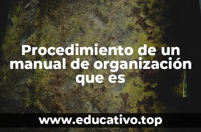 Procedimiento de un manual de organización que es