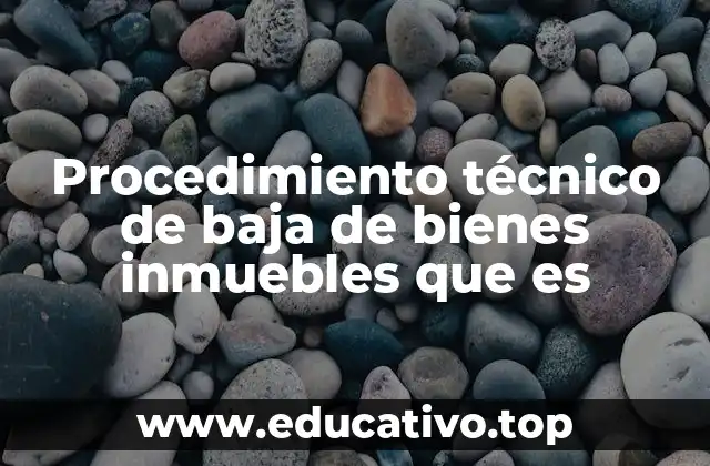 Procedimiento técnico de baja de bienes inmuebles que es