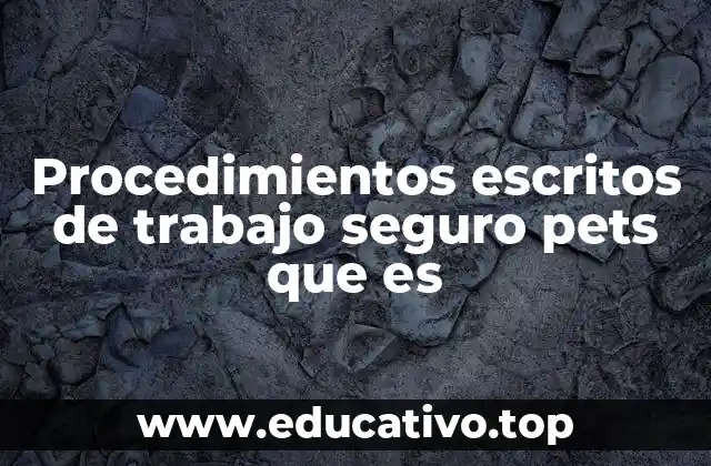 Procedimientos escritos de trabajo seguro pets que es