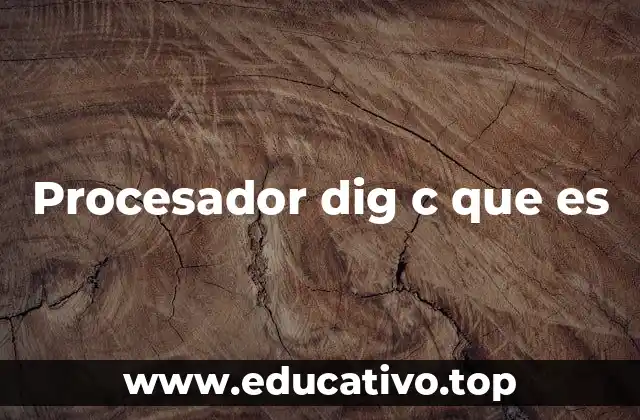 Procesador dig c que es