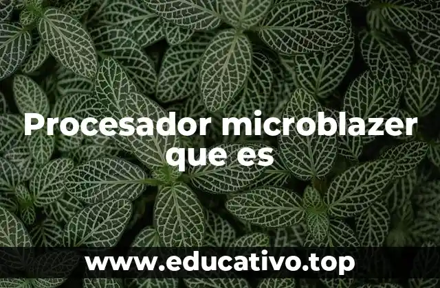 Procesador microblazer que es