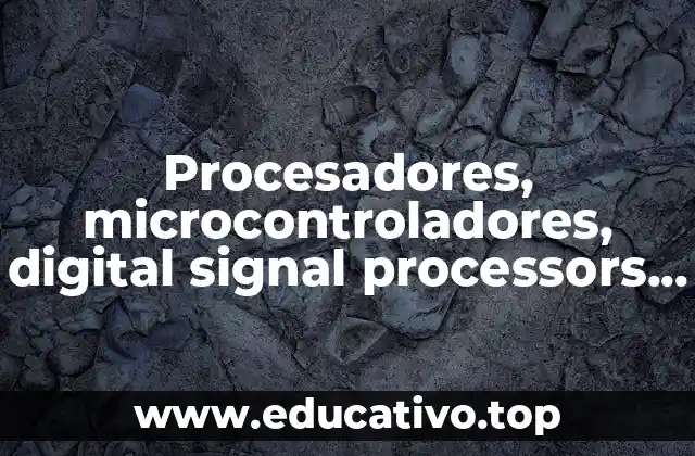 Procesadores, microcontroladores, digital signal processors (DSP), ¿qué es todo eso?
