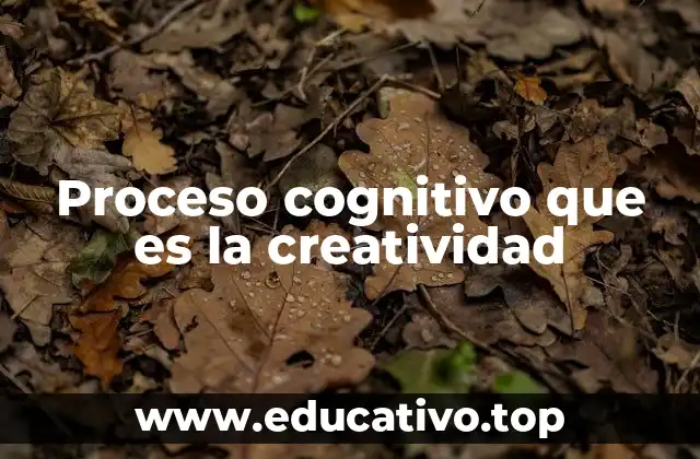 Proceso cognitivo que es la creatividad