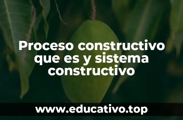 Proceso constructivo que es y sistema constructivo