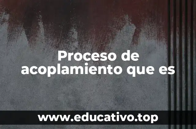 Proceso de acoplamiento que es