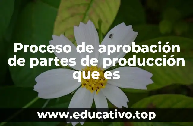 Proceso de aprobación de partes de producción que es