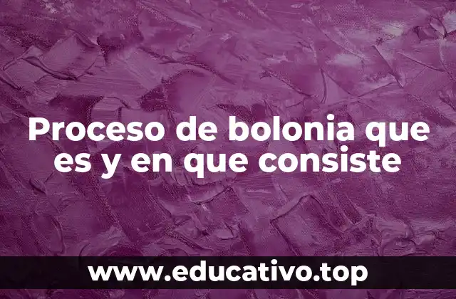 Proceso de bolonia que es y en que consiste