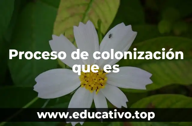 Proceso de colonización que es