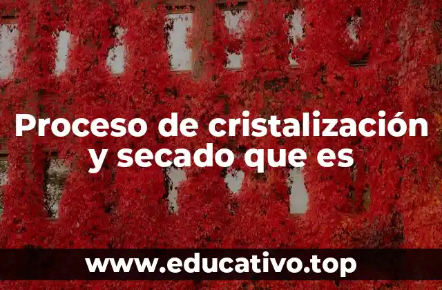 Proceso de cristalización y secado que es