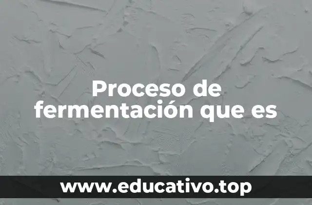 Proceso de fermentación que es