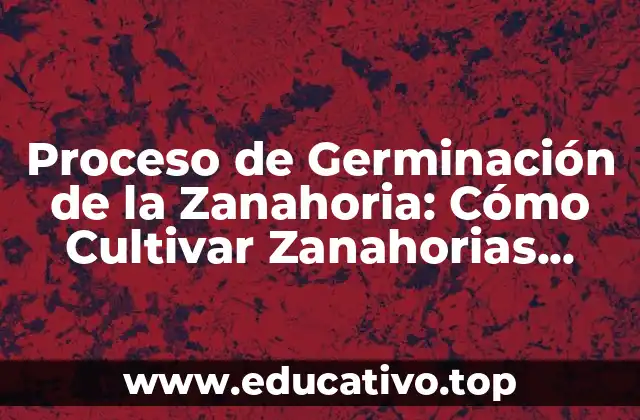 Proceso de Germinación de la Zanahoria: Cómo Cultivar Zanahorias Saludables