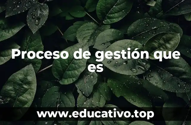 Proceso de gestión que es