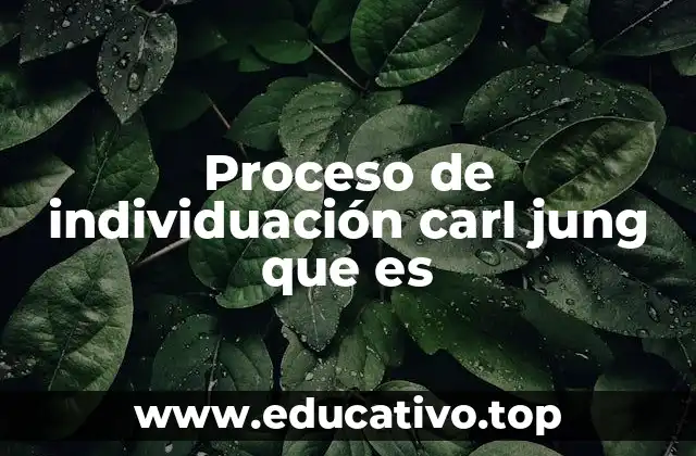 Proceso de individuación carl jung que es