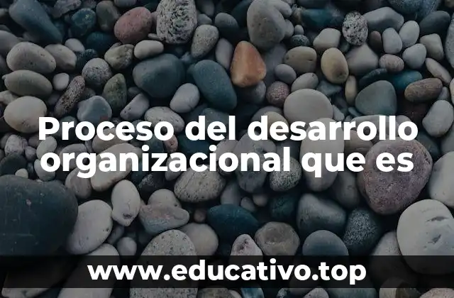 Proceso del desarrollo organizacional que es