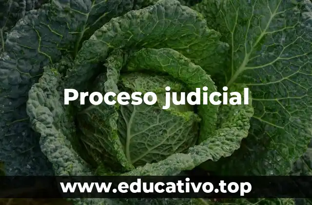 El papel del proceso judicial en la sociedad