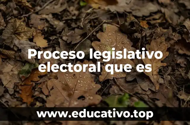 Proceso legislativo electoral que es