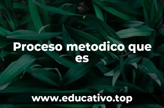 Proceso metodico que es