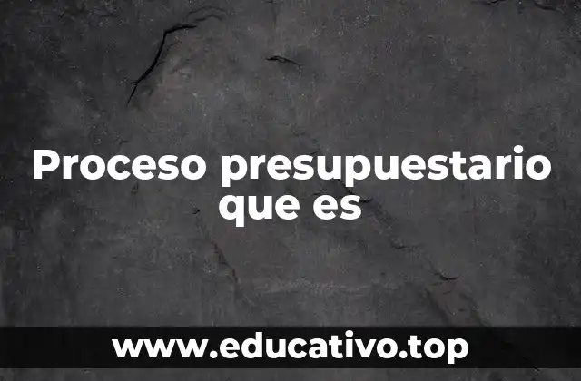 Proceso presupuestario que es