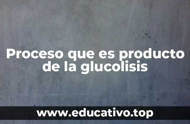 Proceso que es producto de la glucolisis