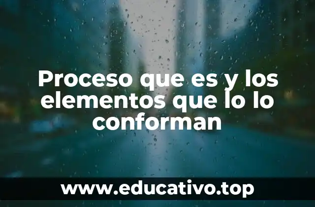 Proceso que es y los elementos que lo lo conforman