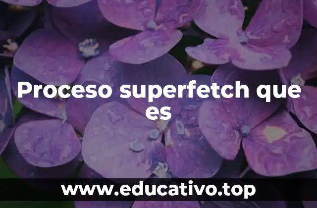 Proceso superfetch que es