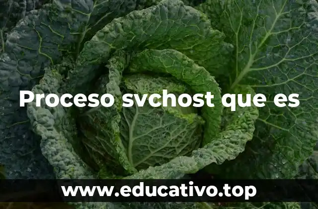 Proceso svchost que es