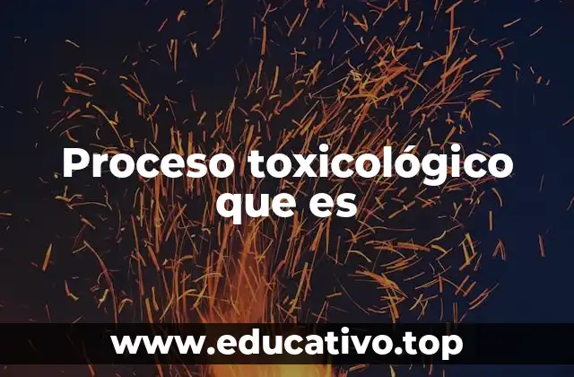 Proceso toxicológico que es