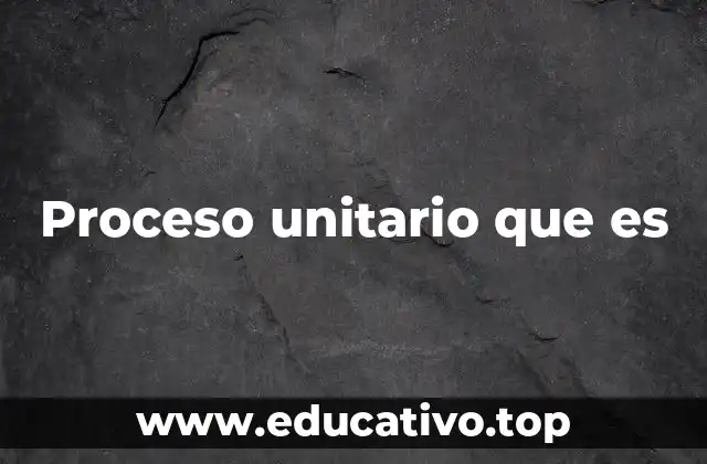 Proceso unitario que es