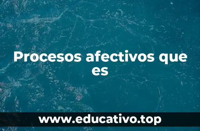 Procesos afectivos que es