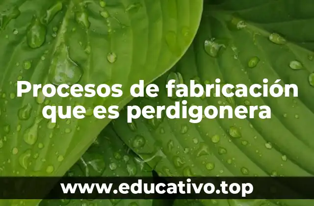 Procesos de fabricación que es perdigonera