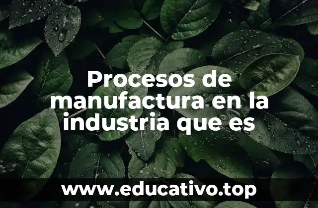 Procesos de manufactura en la industria que es