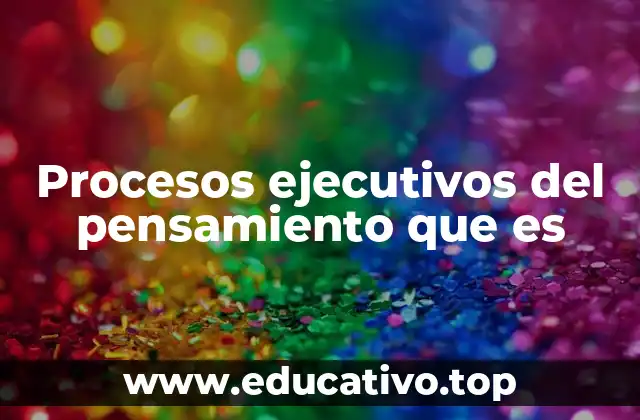 Procesos ejecutivos del pensamiento que es