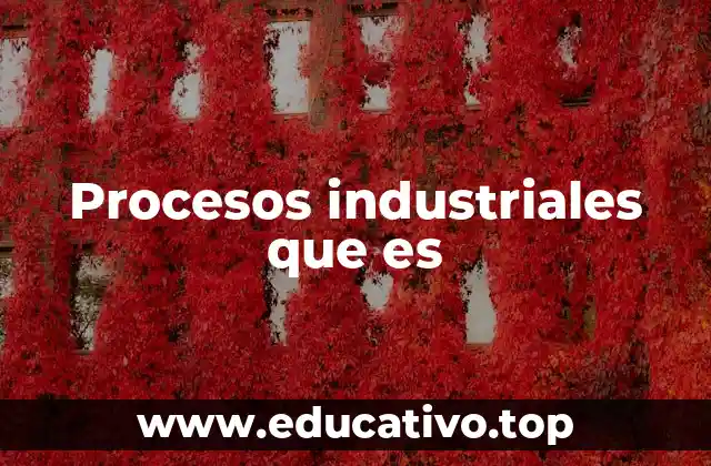 Procesos industriales que es