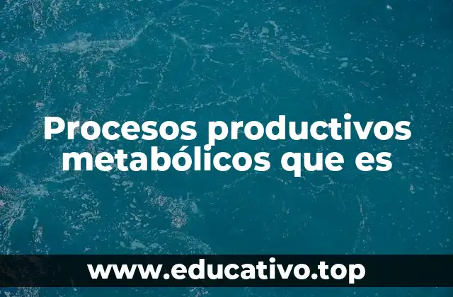 Procesos productivos metabólicos que es
